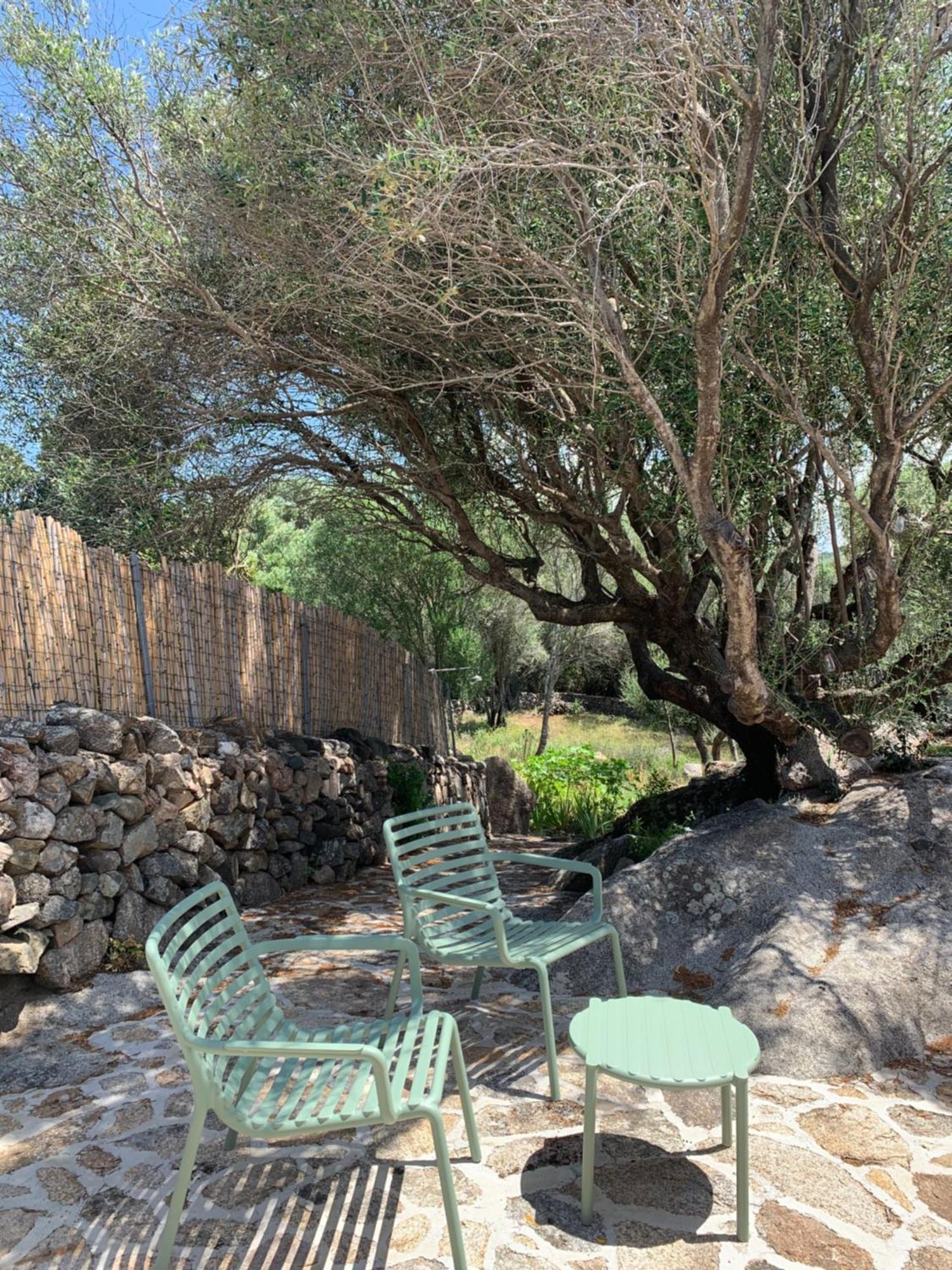 Stazzu Nuraghe Mannucciu Guest House Rena Majore Exterior photo