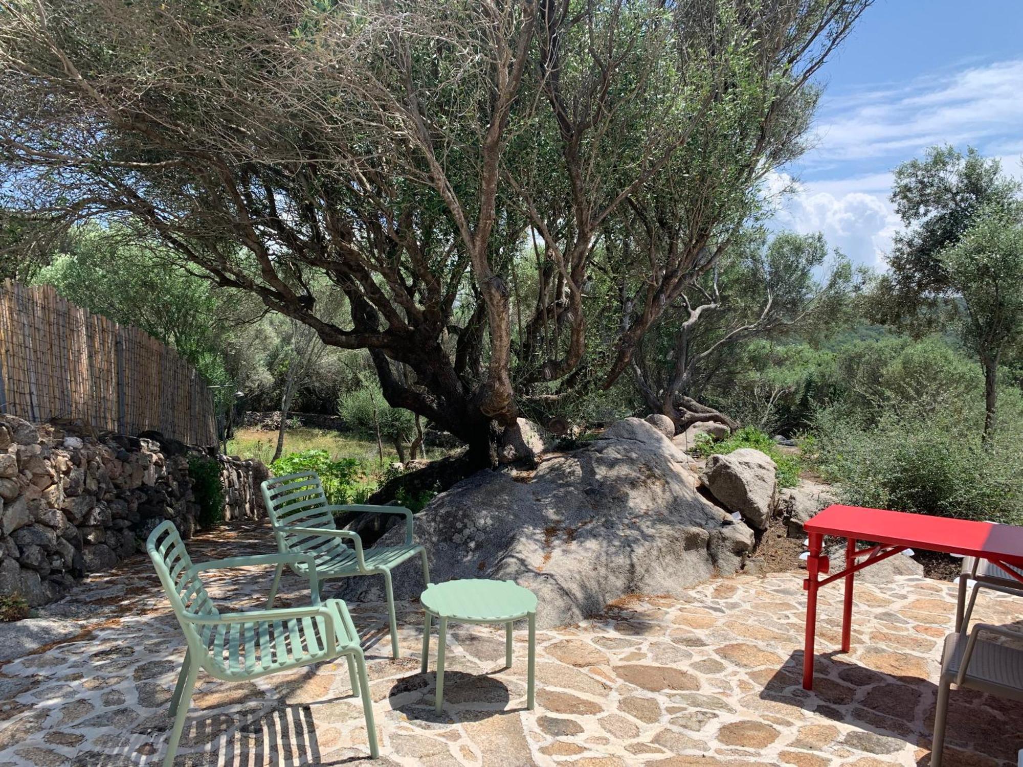 Stazzu Nuraghe Mannucciu Guest House Rena Majore Exterior photo
